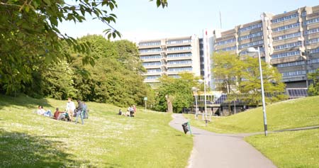 L'espace vert du campus Plaine (ULB)